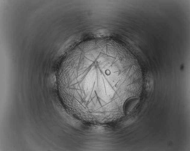 X0000116830523200912241229