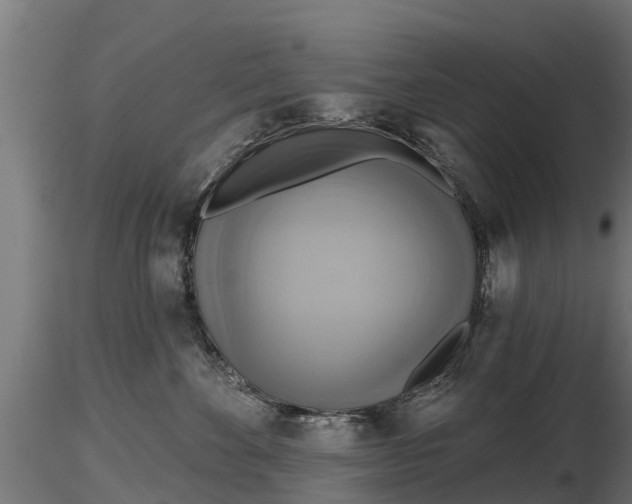 X0000116830524200912241229