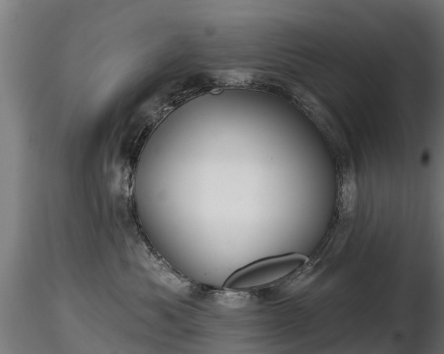 X0000116830525200912241229