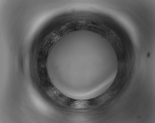 X0000116830526200912241229