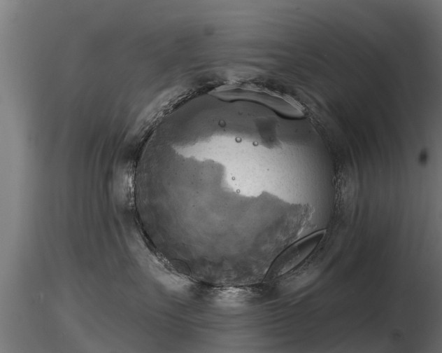 X0000116830527200912241229