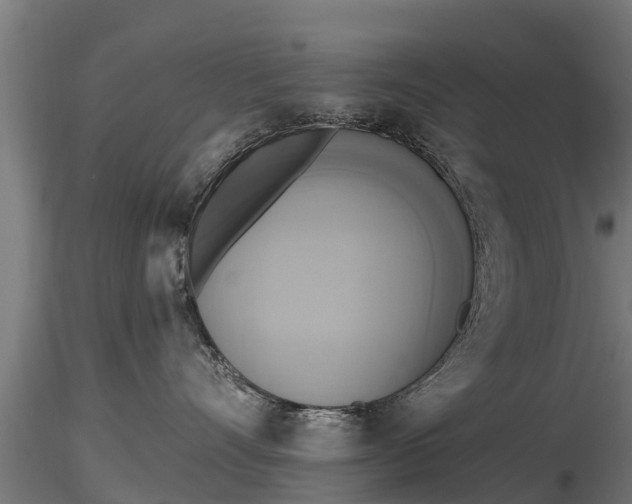 X0000116830528200912241229