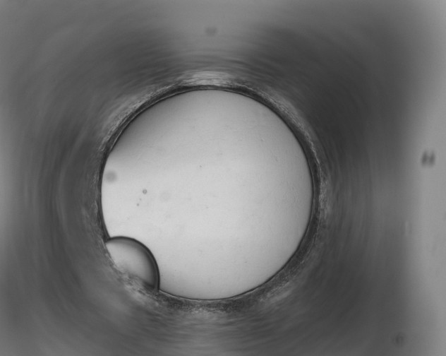 X0000116830529200912241228