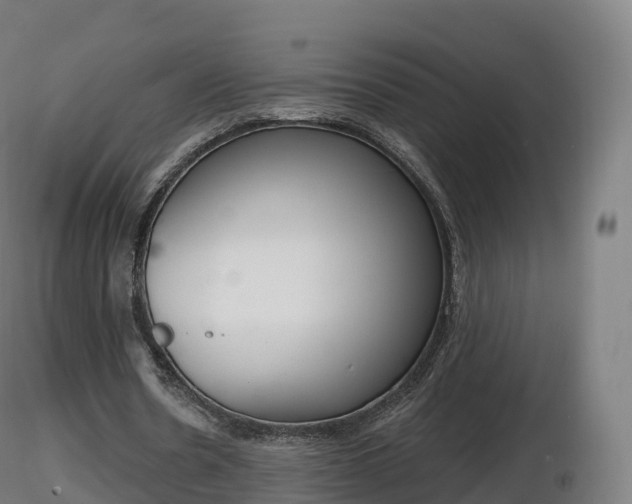 X0000116830530200912241228