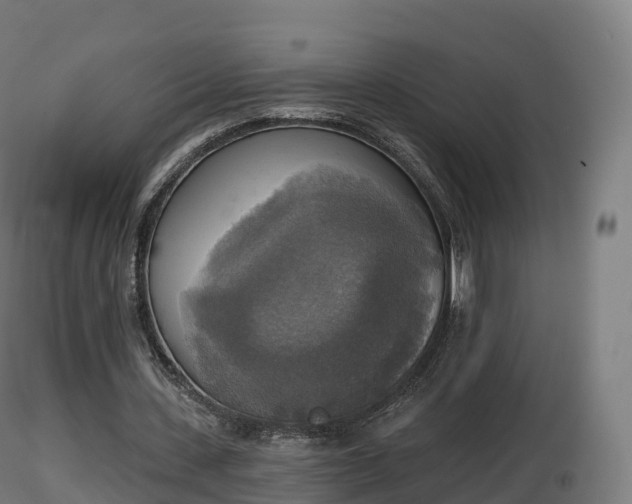 X0000116830531200912241228