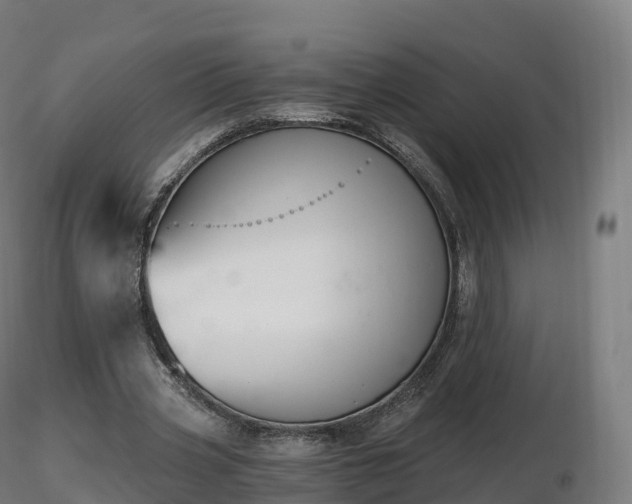 X0000116830533200912241228