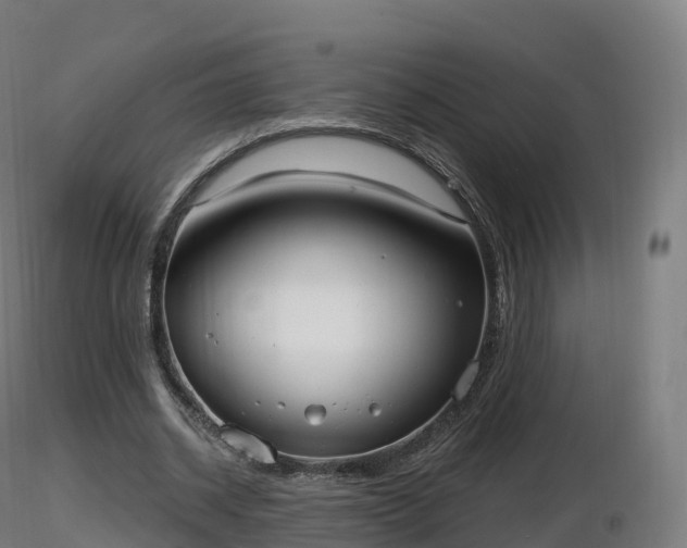X0000116830534200912241228