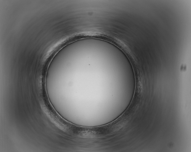 X0000116830535200912241229
