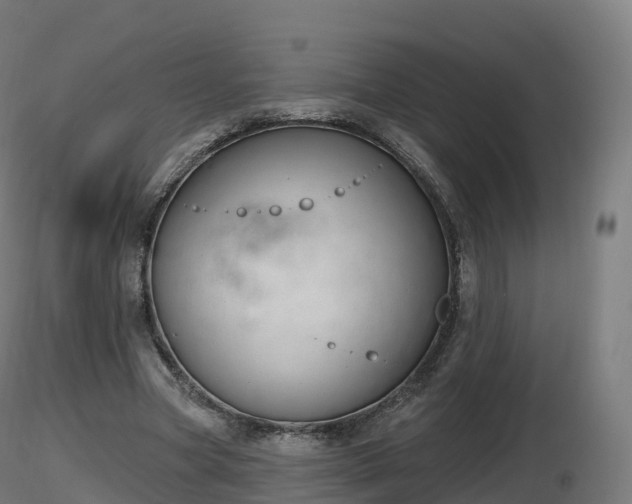 X0000116830537200912241229