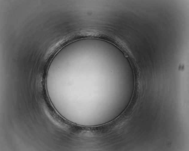 X0000116830538200912241229