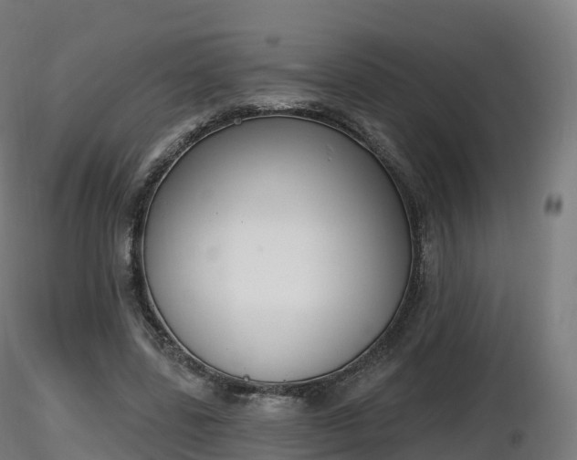 X0000116830539200912241229