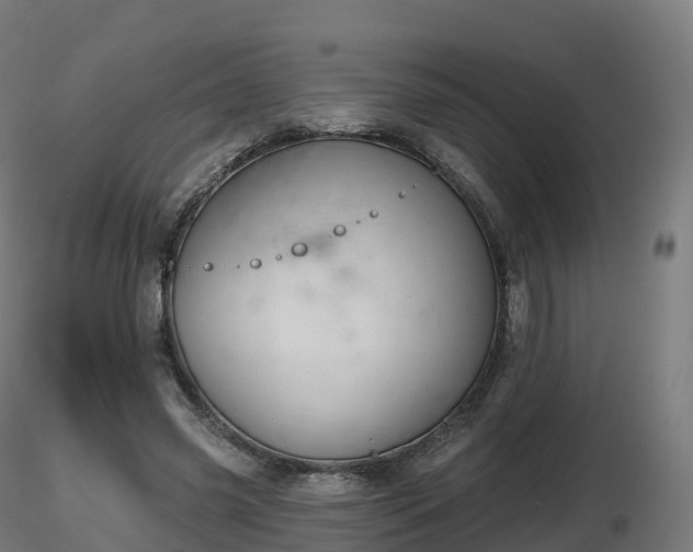 X0000116830541200912241229