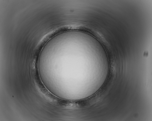 X0000116830543200912241229