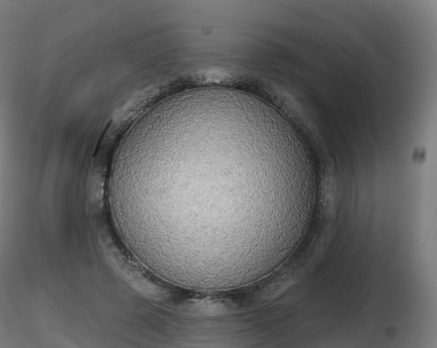 X0000116830545200912241229