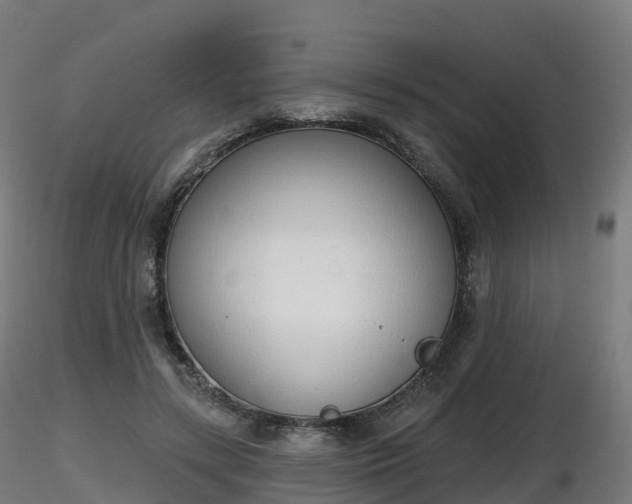 X0000116830547200912241229