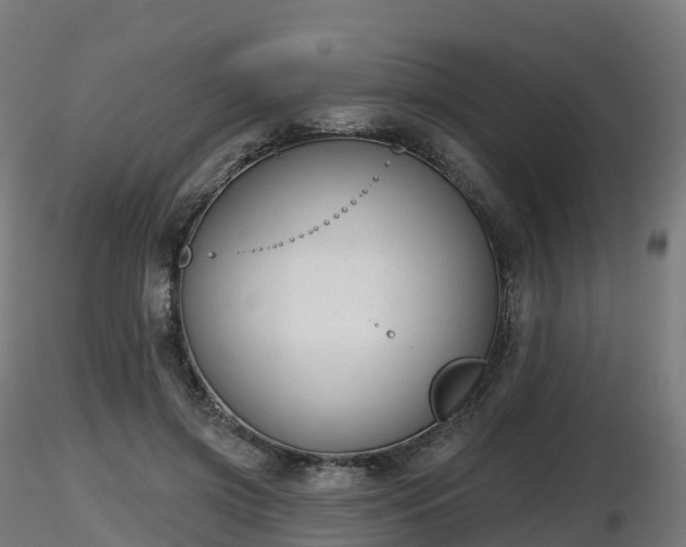X0000116830549200912241229