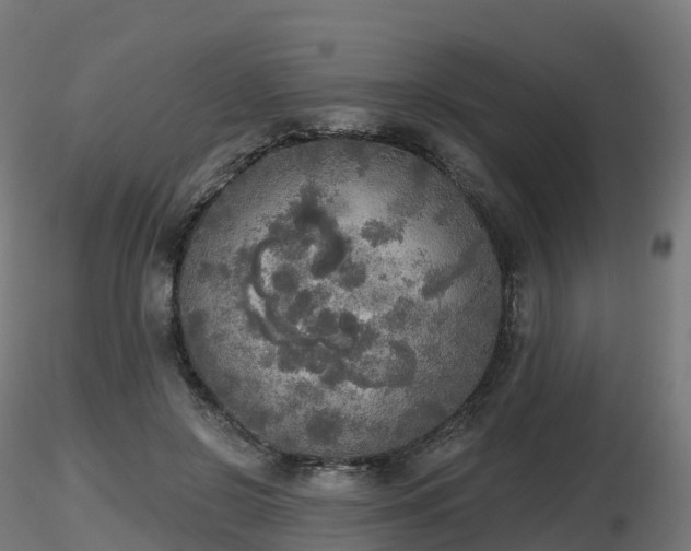 X0000116830550200912241229