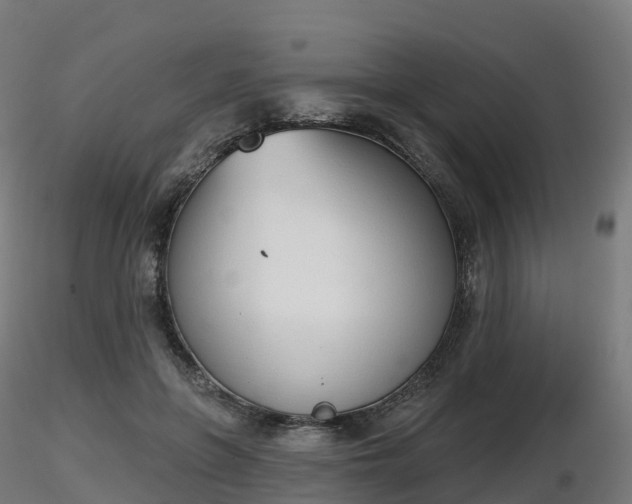 X0000116830551200912241229