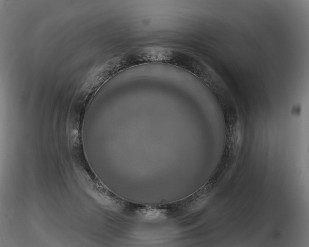 X0000116830553200912241229