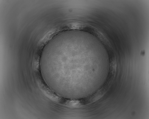 X0000116830554200912241229