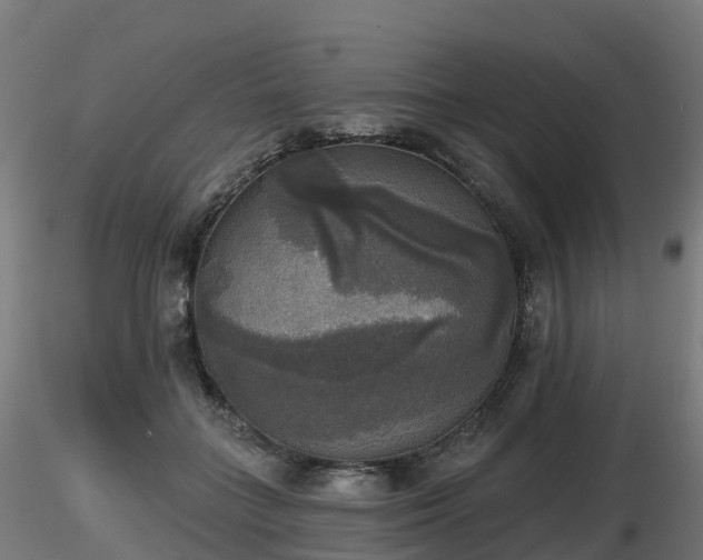 X0000116830555200912241229