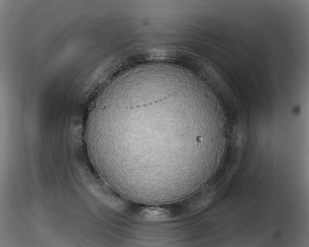 X0000116830557200912241229