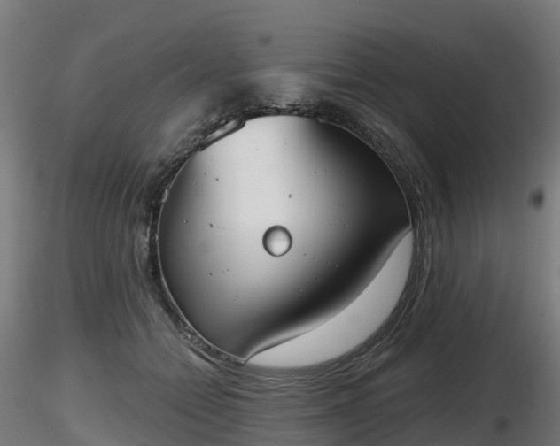X0000116830558200912241229