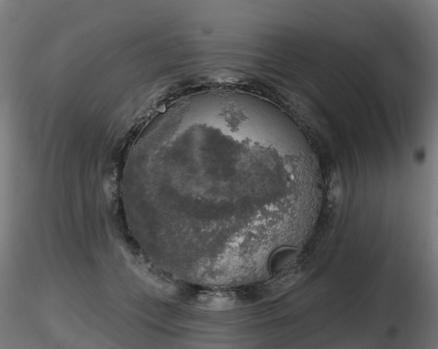 X0000116830559200912241229