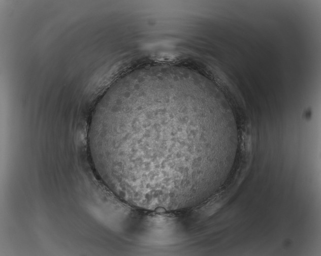 X0000116830561200912241229