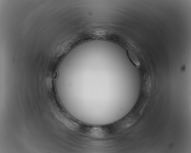 X0000116830562200912241229