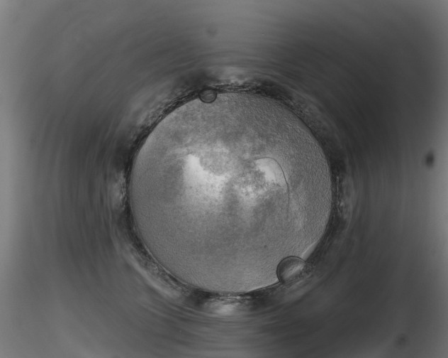 X0000116830563200912241229