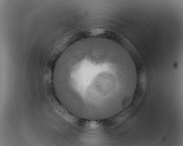 X0000116830565200912241229