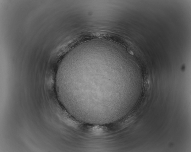 X0000116830566200912241229