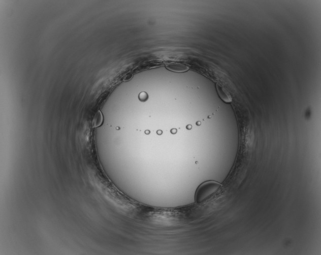 X0000116830567200912241229