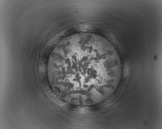 X0000116830569200912241229