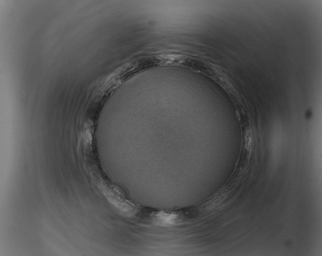 X0000116830570200912241229