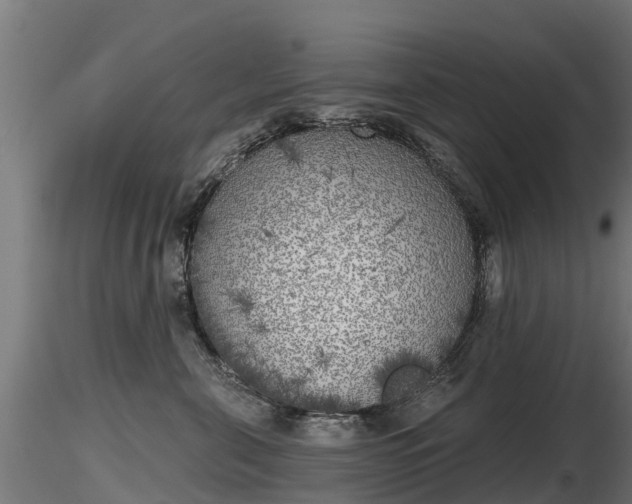 X0000116830571200912241229