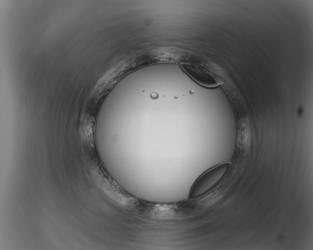 X0000116830573200912241229