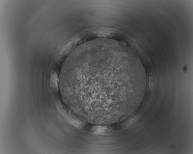 X0000116830575200912241229