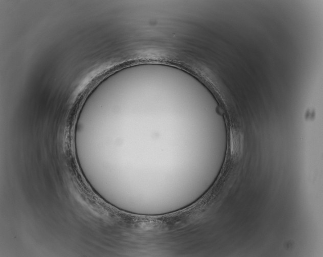X0000116830579200912241228