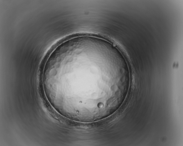 X0000116830580200912241228