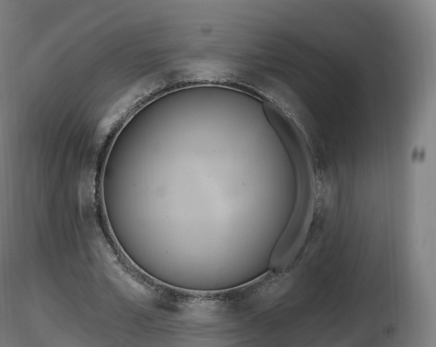 X0000116830581200912241228