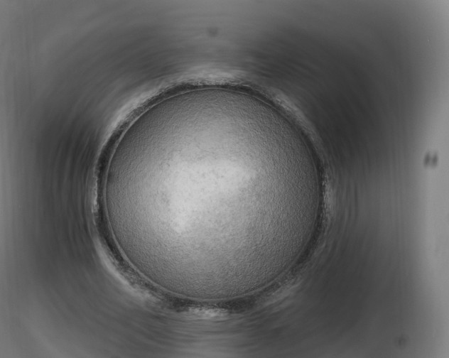 X0000116830582200912241228