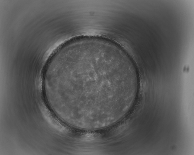 X0000116830584200912241228