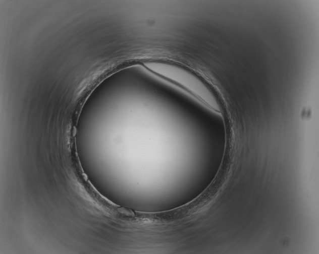 X0000116830585200912241228