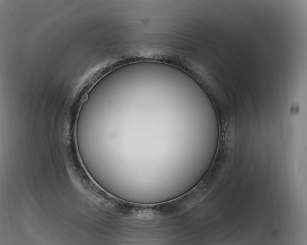 X0000116830587200912241228