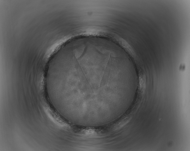 X0000116830588200912241228