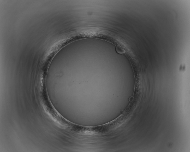 X0000116830590200912241228
