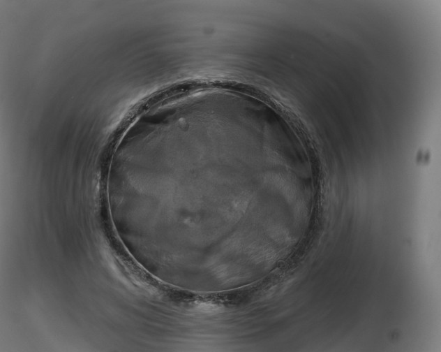 X0000116830592200912241228