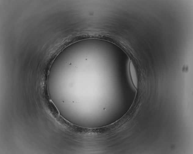 X0000116830593200912241228